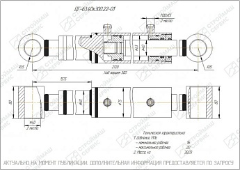 ГИДРОЦИЛИНДР РАБОЧЕГО ОРГАНА ЦГ-63.40Х300.22-01