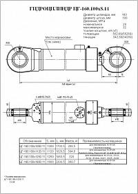 Гидроцилиндр ЦГ-160.100х1000.11