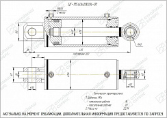 ГИДРОЦИЛИНДР РАБОЧЕГО ОРГАНА ЦГ-115.40Х200.04-01
