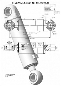 Гидроцилиндр ЦГ-160.80х465.11
