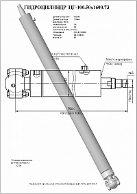 ГИДРОЦИЛИНДР ВЫНОСА ОТВАЛА ЦГ-100.50Х1600.73