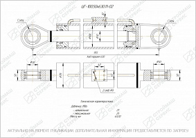 ГИДРОЦИЛИНДР РАБОЧЕГО ОРГАНА ЦГ-100.50Х630.11-02