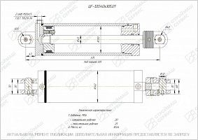 ГИДРОЦИЛИНДР РАБОЧЕГО ОРГАНА ЦГ-120.40Х305.01