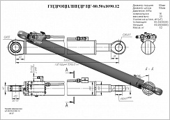 Гидроцилиндр ЦГ-80.50х1090.12