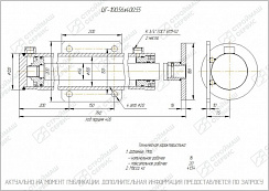 ГИДРОЦИЛИНДР РАБОЧЕГО ОРГАНА ЦГ-100.56Х400.55