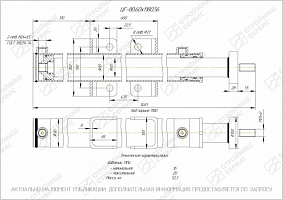 ГИДРОЦИЛИНДР РАБОЧЕГО ОРГАНА ЦГ-80.60Х1180.56