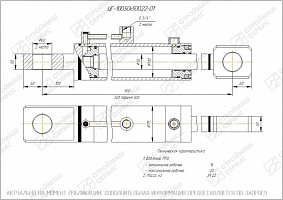 ГИДРОЦИЛИНДР РАБОЧЕГО ОРГАНА ЦГ-100.50Х500.22-01