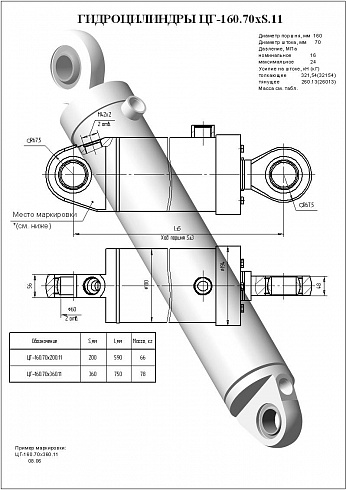 Гидроцилиндр ЦГ-160.70х200.11