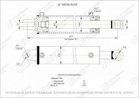 ГИДРОЦИЛИНДР РАБОЧЕГО ОРГАНА ЦГ-100.50Х762.05