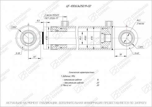 ГИДРОЦИЛИНДР РАБОЧЕГО ОРГАНА ЦГ-100.63Х250.11-02