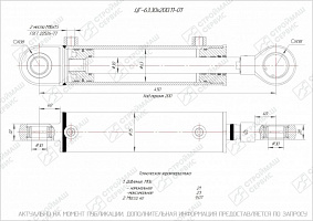 ГИДРОЦИЛИНДР РУЛЕВОГО УПРАВЛЕНИЯ ЦГ-63.30Х200.11-01 (Ц633405115-А-01)