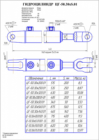ГИДРОЦИЛИНДР РАБОЧЕГО ОРГАНА ЦГ-50.30Х560.01