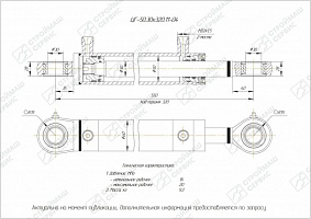 ГИДРОЦИЛИНДР РАБОЧЕГО ОРГАНА ЦГ-50.30Х320.11-04