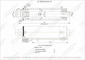 ГИДРОЦИЛИНДР РАБОЧЕГО ОРГАНА ЦГ-100.60Х340.24-01