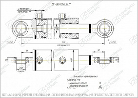 ГИДРОЦИЛИНДР РАБОЧЕГО ОРГАНА ЦГ-80.40Х630.11