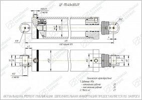 ГИДРОЦИЛИНДР РАБОЧЕГО ОРГАНА ЦГ-115.40Х305.01