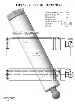 Гидроцилиндр ЦГ-160.100х710.55