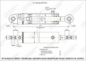 ГИДРОЦИЛИНДР РАБОЧЕГО ОРГАНА ЦГ-80.40Х320.11-04