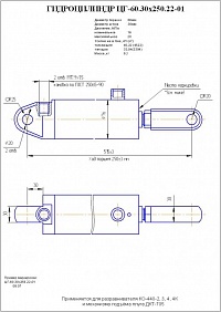 ГИДРОЦИЛИНДР РАЗРАВНИВАТЕЛЯ, МЕХАНИЗМ ПОДЪЕМА ПЛУГА ЦГ-60.30Х250.22-01 (КО-510.01.09.000-03)