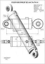 Гидроцилиндр ЦГ-160.70х710.11
