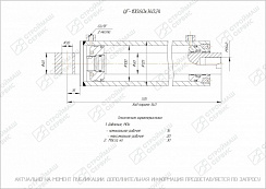 ГИДРОЦИЛИНДР РАБОЧЕГО ОРГАНА ЦГ-100.60Х340.24