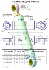 Гидроцилиндр ЦГ-80.50х250.22