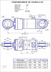 ГИДРОЦИЛИНДР ПОДЪЕМА СТРЕЛЫ ЦГ-125.80Х950.11-03