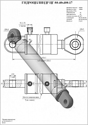 Гидроцилиндр ЦГ-80.40х400.17