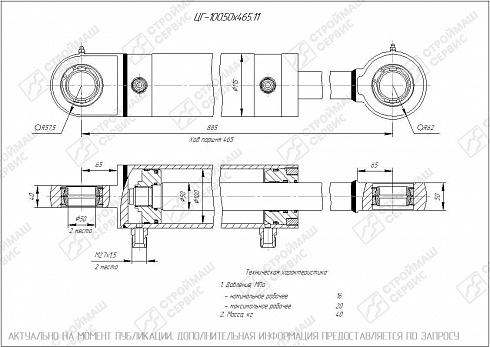 ГИДРОЦИЛИНДР РАБОЧЕГО ОРГАНА ЦГ-100.50Х465.11