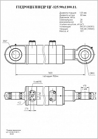 Гидроцилиндр ЦГ-125.90х1100.11