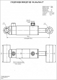 ГИДРОЦИЛИНДР РАБОЧЕГО ОРГАНА ЦГ-50.30Х510.17
