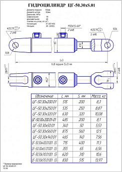 Гидроцилиндр ЦГ-50.30х560.01