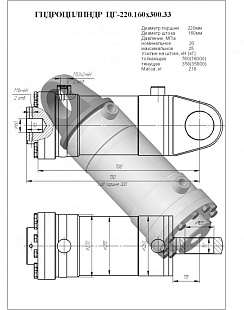 Гидроцилиндр ЦГ-220.160х300.33