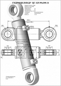 ГИДРОЦИЛИНДР ЗСУ ЦГ-125.90Х300.11