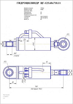 Гидроцилиндр ЦГ-125.60х710.11