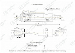 ГИДРОЦИЛИНДР РАБОЧЕГО ОРГАНА ЦГ-80.40Х200.01-02