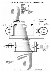 ГИДРОЦИЛИНДР ЦГ-100.50Х160.17-01 (Ц16-100-50-160.22Д)