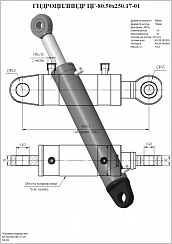 Гидроцилиндр ЦГ-80.50х250.17-01