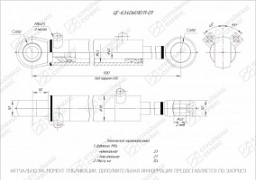 ГИДРОЦИЛИНДР РАБОЧЕГО ОРГАНА ЦГ-63.40Х690.11-01