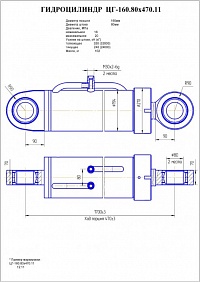 Гидроцилиндр ЦГ-160.80х470.11