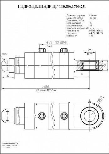 Гидроцилиндр ЦГ-110.80х1700.25