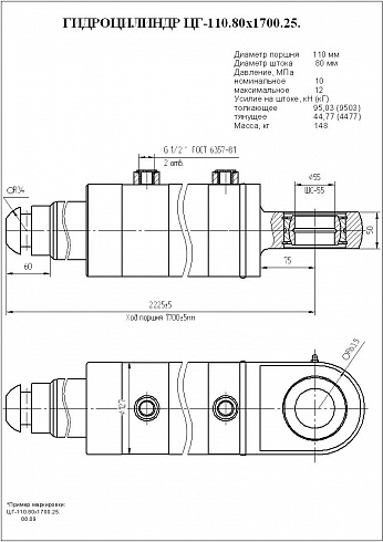 Гидроцилиндр ЦГ-110.80х1700.25