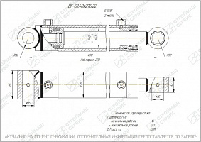 ГИДРОЦИЛИНДР РАБОЧЕГО ОРГАНА ЦГ-63.40Х270.22
