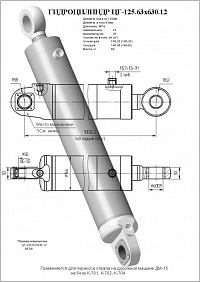 ГИДРОЦИЛИНДР ПЕРЕКОСА ОТВАЛА ЦГ-125.63Х630.12