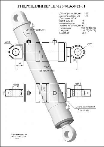 Гидроцилиндр ЦГ-125.70х630.22-01