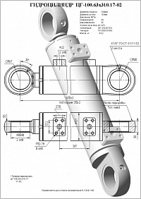 ГИДРОЦИЛИНДР ОТВАЛА ЦГ-100.63Х310.17-02